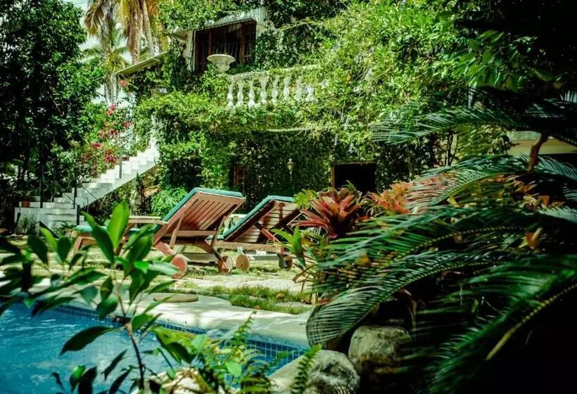 Villa Carolina Bed And Breakfast