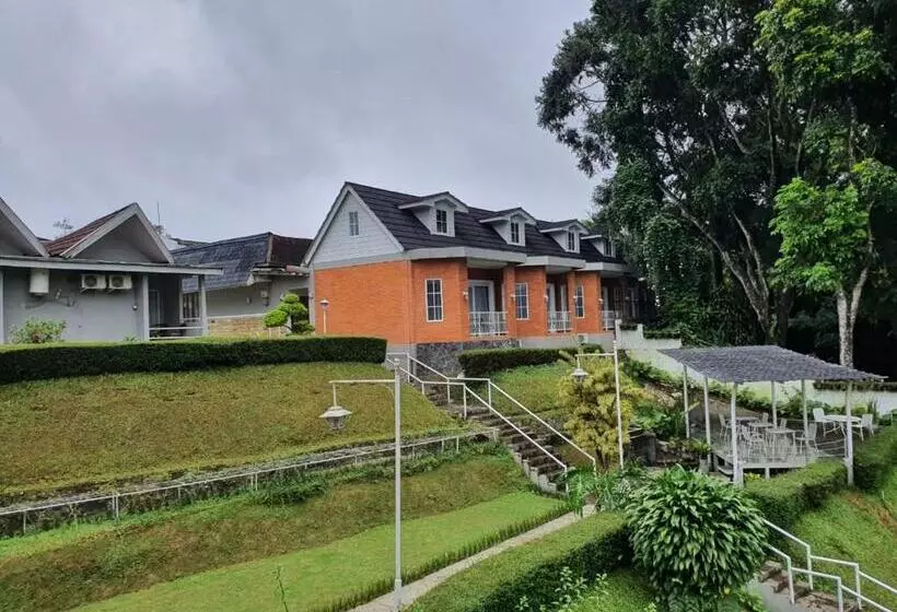 Otel Ariandri Puncak