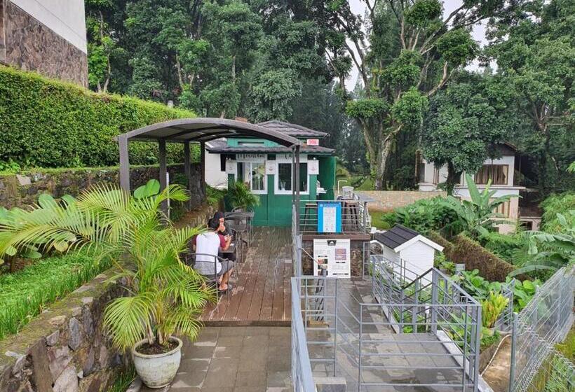 Отель Ariandri Puncak