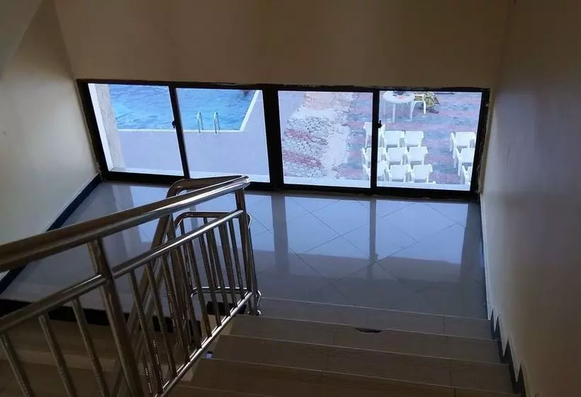 هتل Hotreef