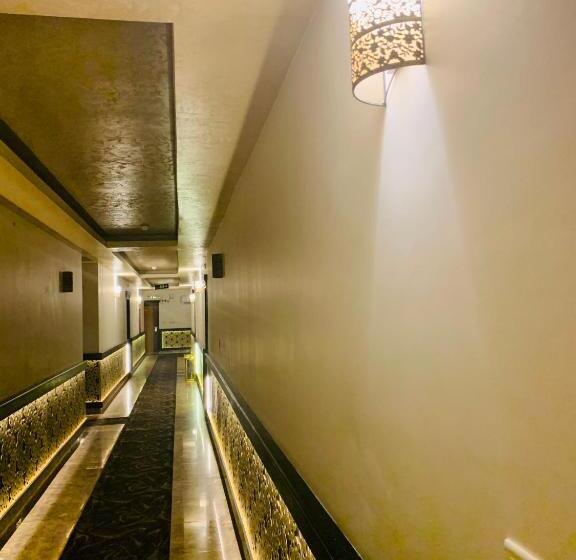 الايكة مانجروف