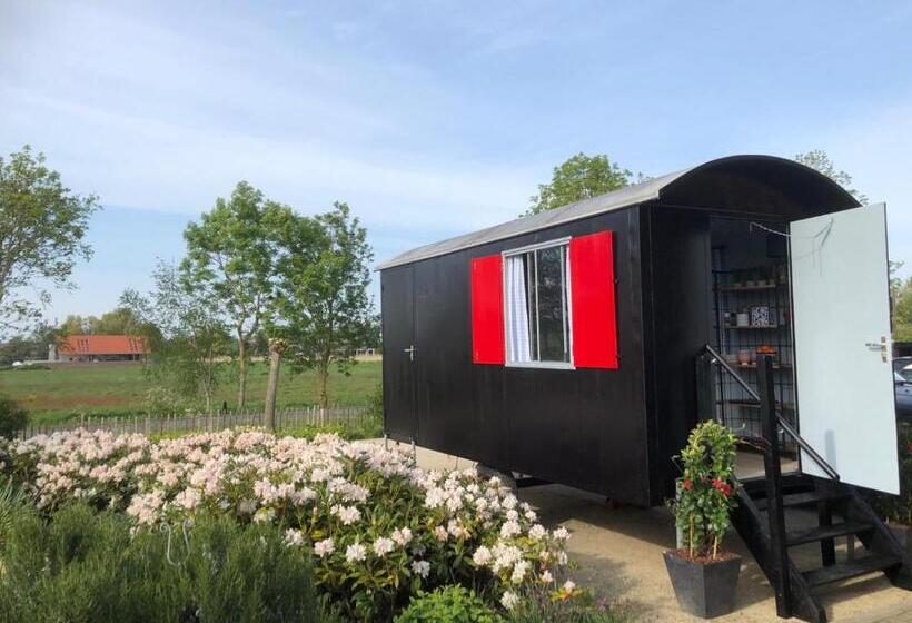 مبيت وإفطار Chalet Royal