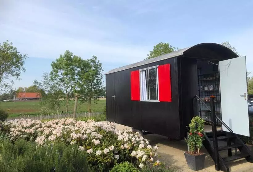 ベッドアンドブレックファースト Chalet Royal