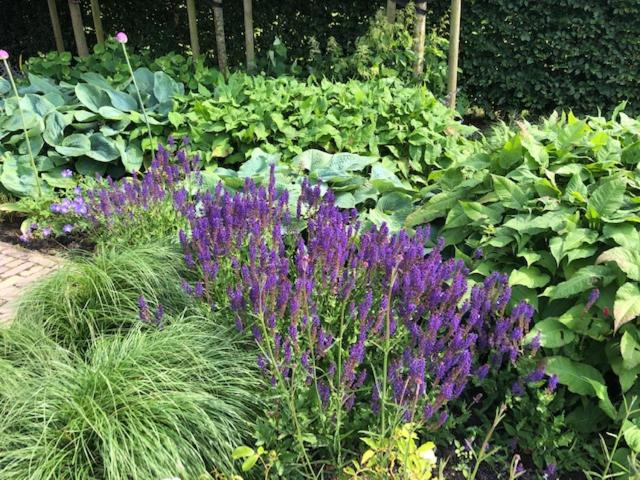 مبيت وإفطار Chalet Royal