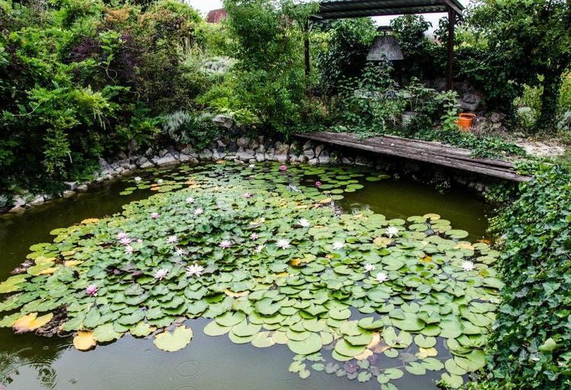 Aamiaismajoitus (B&B) Pigál Panzió