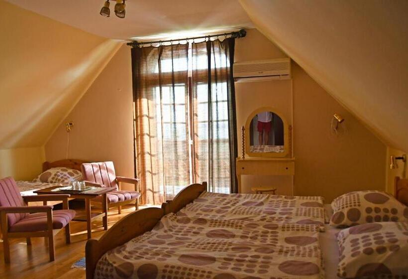 Aamiaismajoitus (B&B) Pigál Panzió