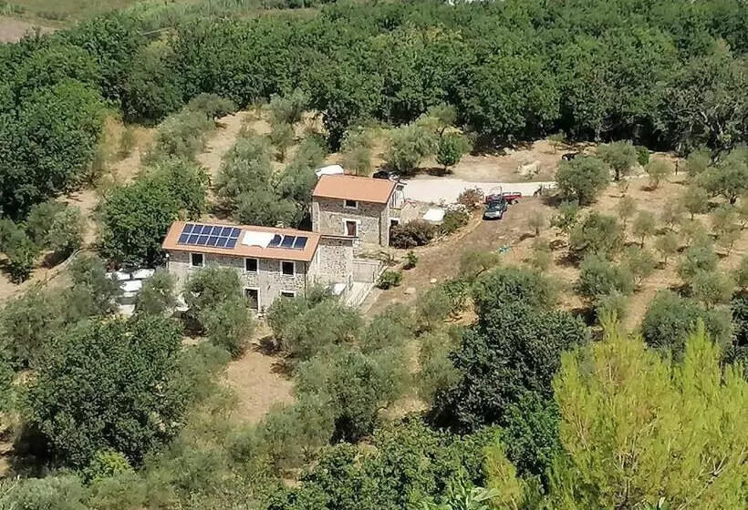 ホテル Podere La Starza