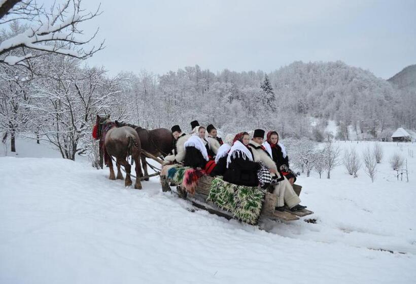 פנסיון Cabana Iza