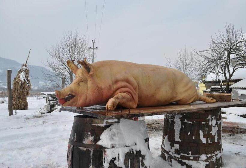 פנסיון Cabana Iza