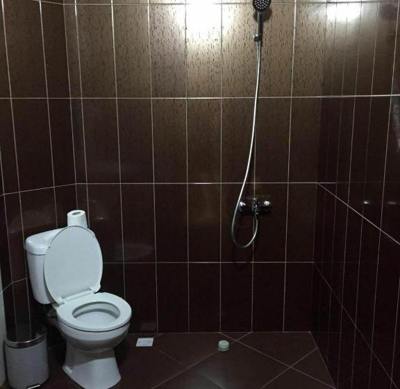 پانسیون Guguli