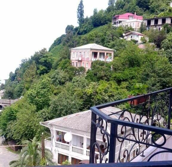 پانسیون Guguli