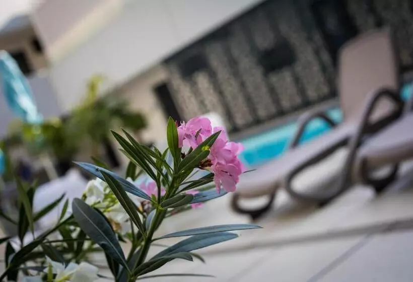 Sunset Resort   Lakeside Apartment