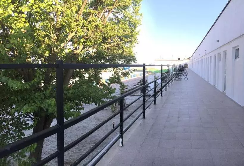 Hostel Cazino Sud