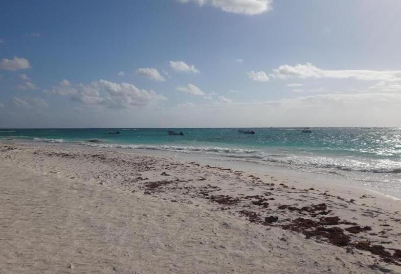 호텔 Xpuha Bonanza