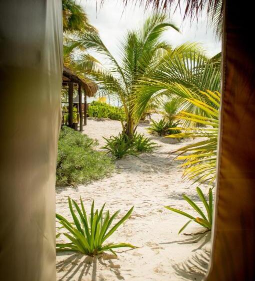 호텔 Xpuha Bonanza