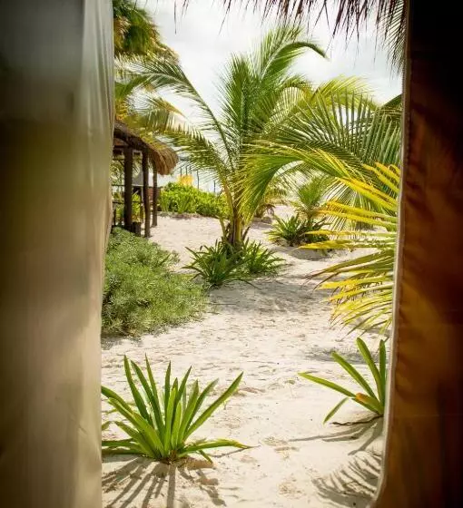 Hotelli Xpuha Bonanza