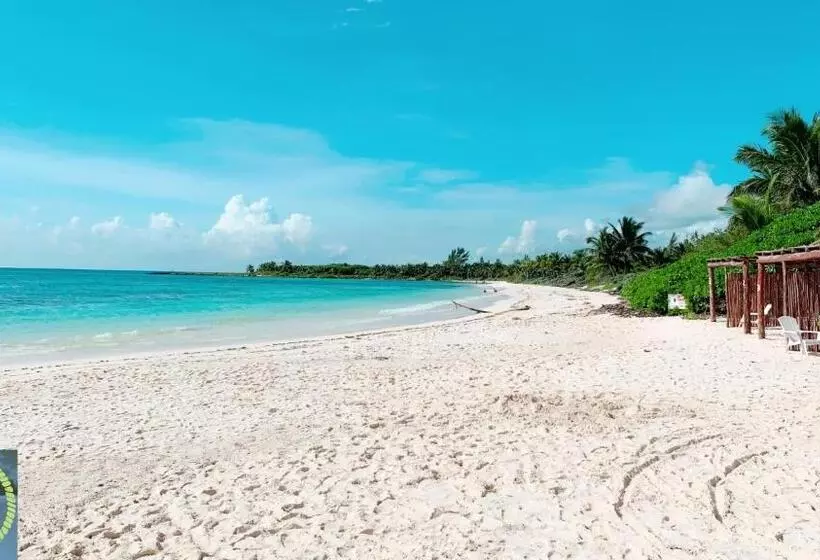 Hotelli Xpuha Bonanza