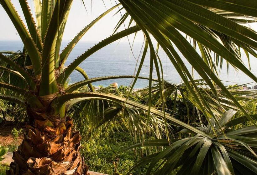 پانسیون Sunshine Guesthouse Dhermi