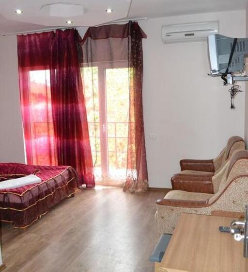 膳宿费 Vila Denisa