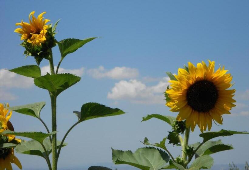 تختخواب و صبحانه La Meridiana Strana