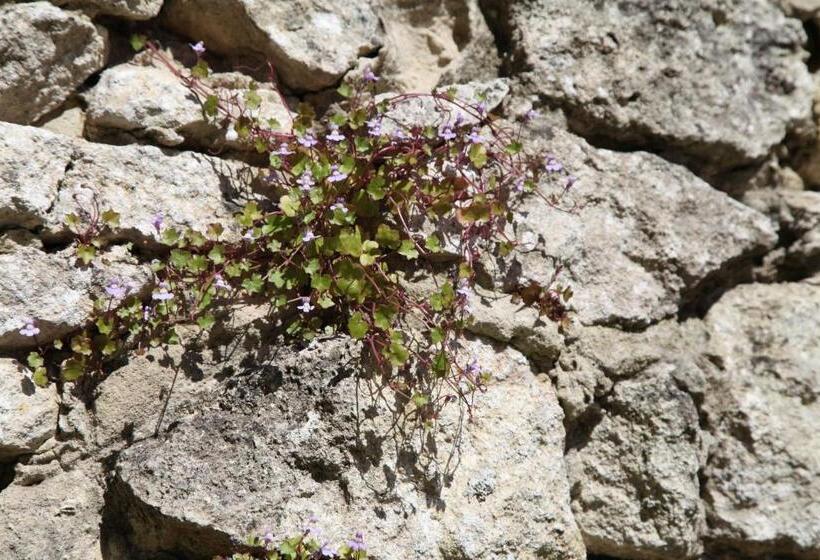 Bed and Breakfast Oeno Lodge