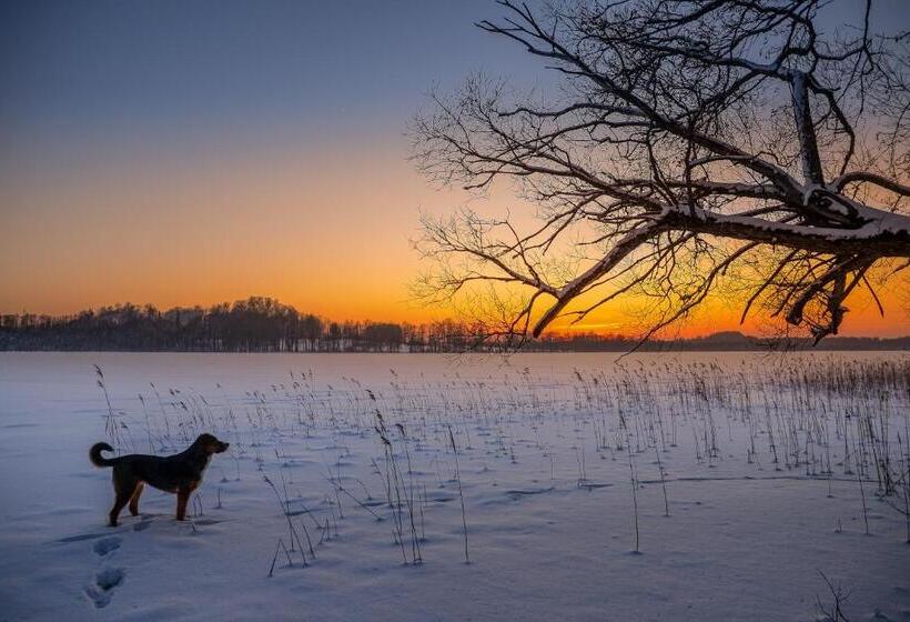 پانسیون Guest House Lauvaskalni