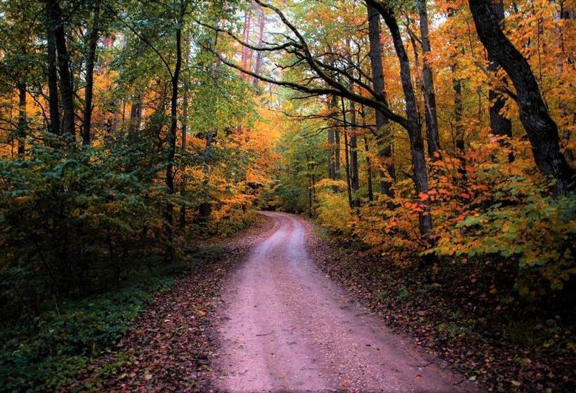 پانسیون Guest House Lauvaskalni