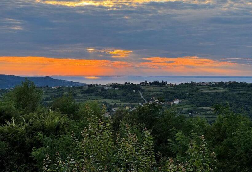 پانسیون Guesthouse Green Istria