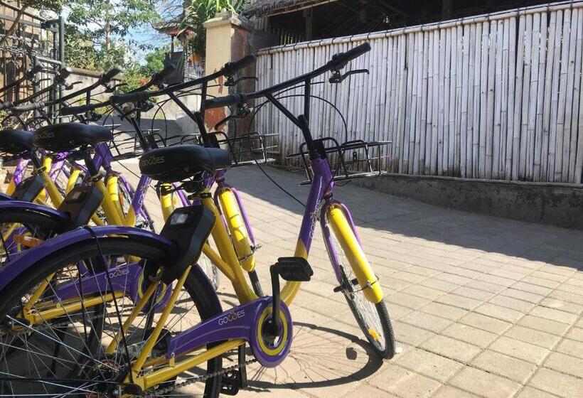 Panzió Maha Residence Guest House