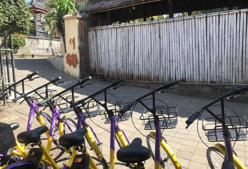 Panzió Maha Residence Guest House