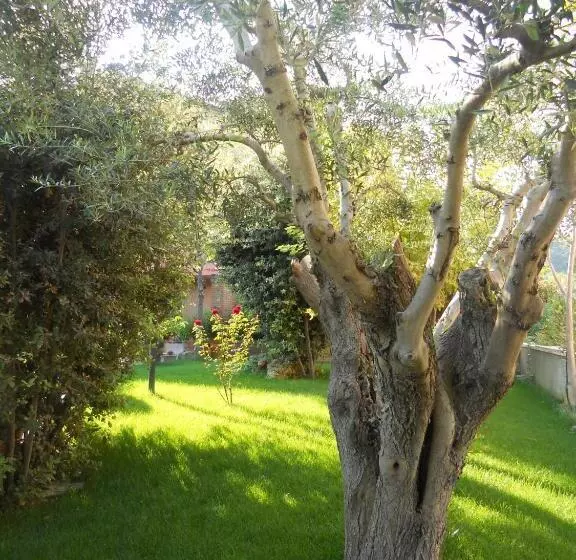 Residence Criro