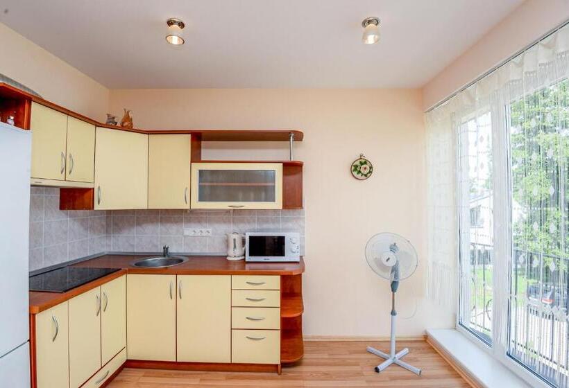 Suite Hotel Sermiesčio 3