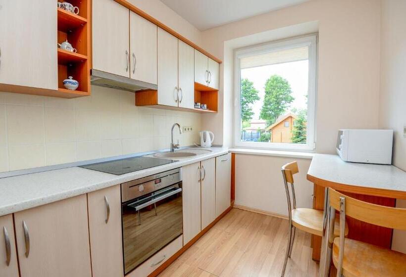 Suite Hotel Sermiesčio 3