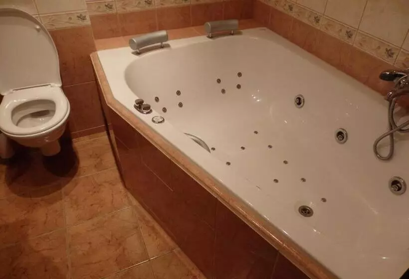 هتل Zlatý Kříž