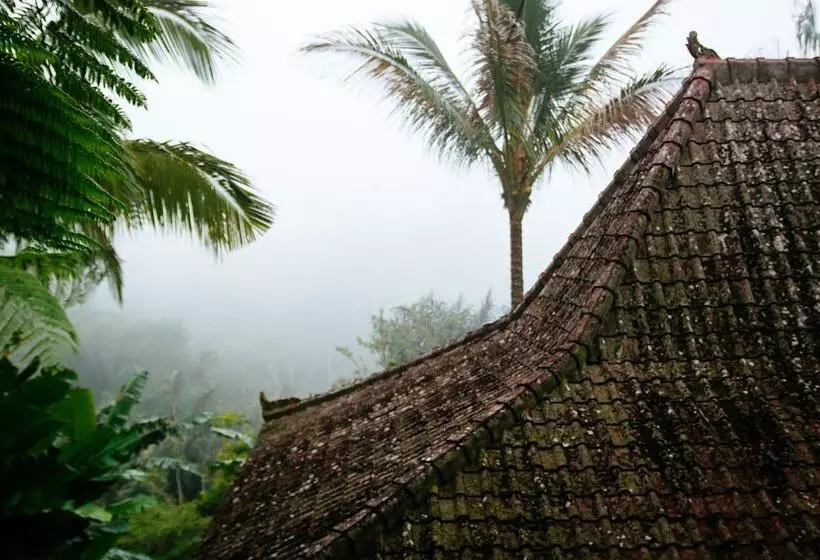 استراحتگاه Alassari Plantation