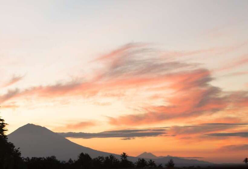 리조트 Alassari Plantation
