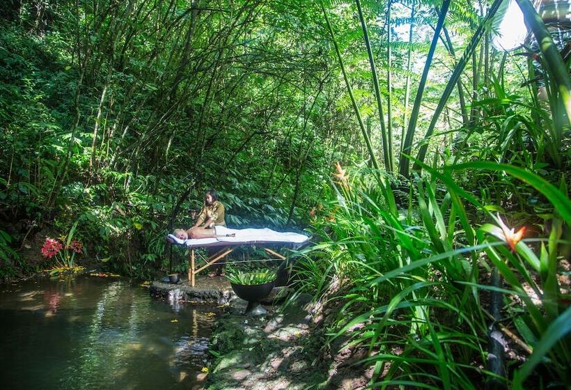 리조트 Alassari Plantation