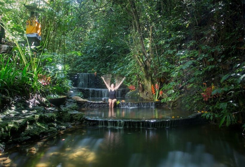 리조트 Alassari Plantation