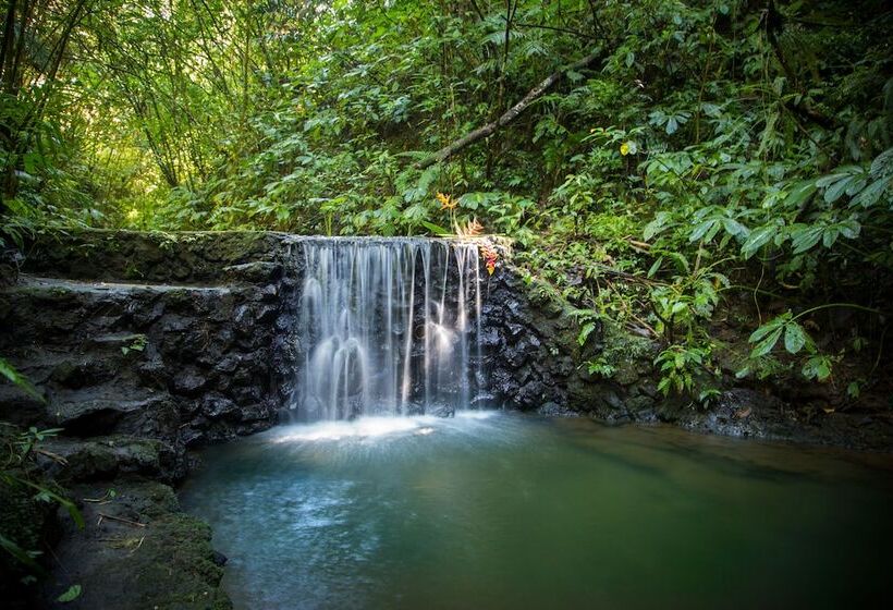 리조트 Alassari Plantation