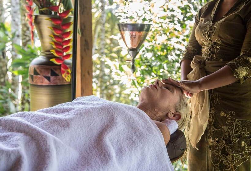 리조트 Alassari Plantation