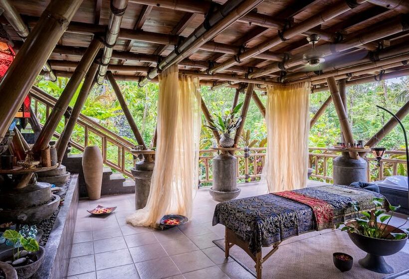 리조트 Alassari Plantation