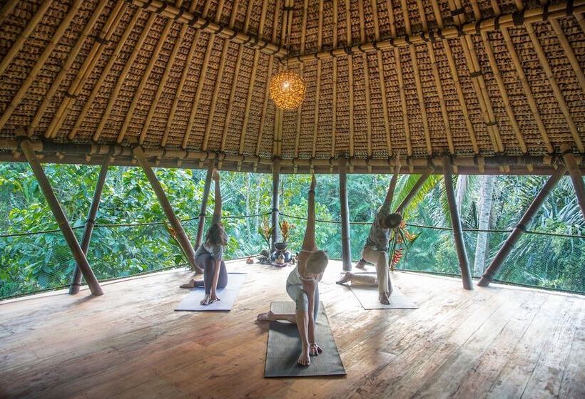 리조트 Alassari Plantation