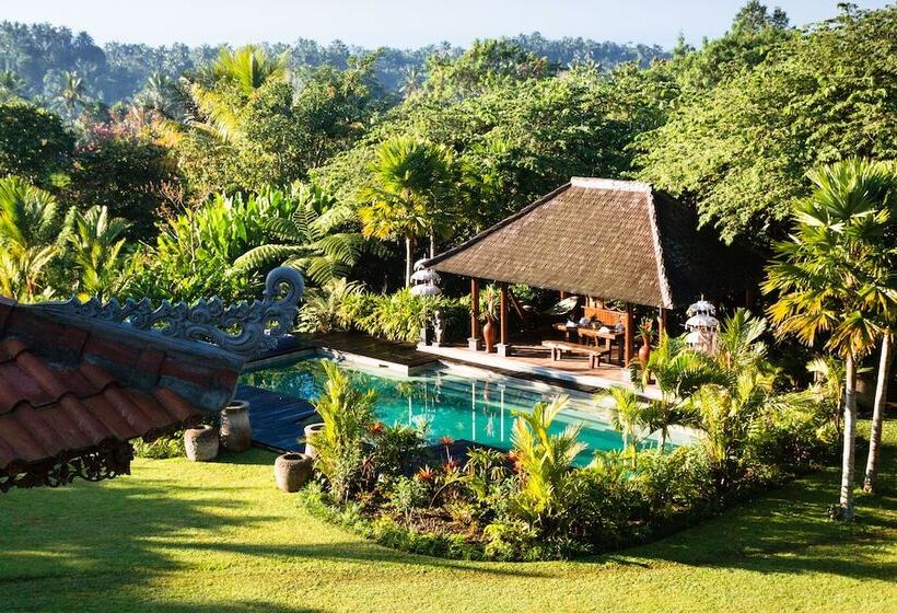 리조트 Alassari Plantation