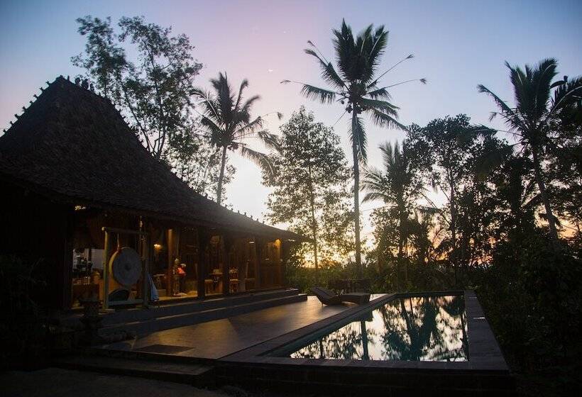 리조트 Alassari Plantation