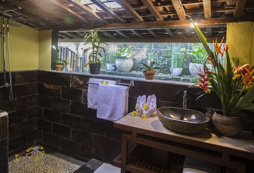 리조트 Alassari Plantation