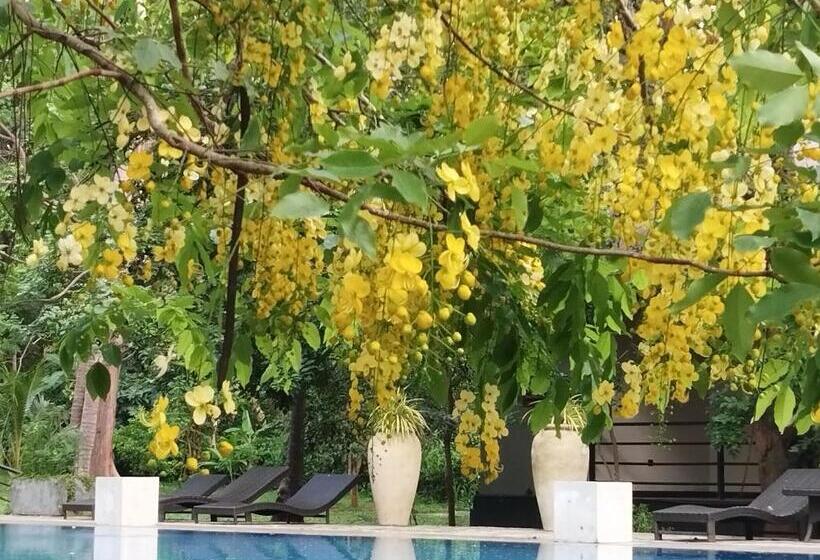 Resort Athena Lake By Seedevi