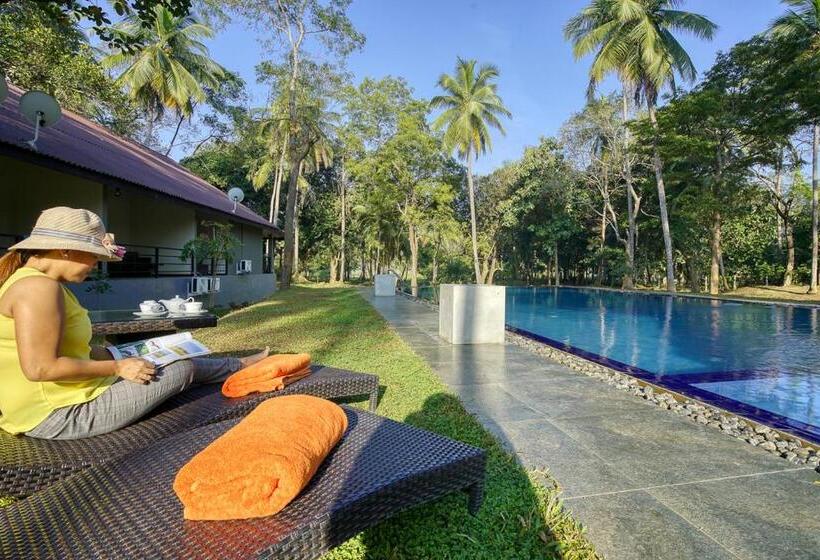 Resort Athena Lake By Seedevi