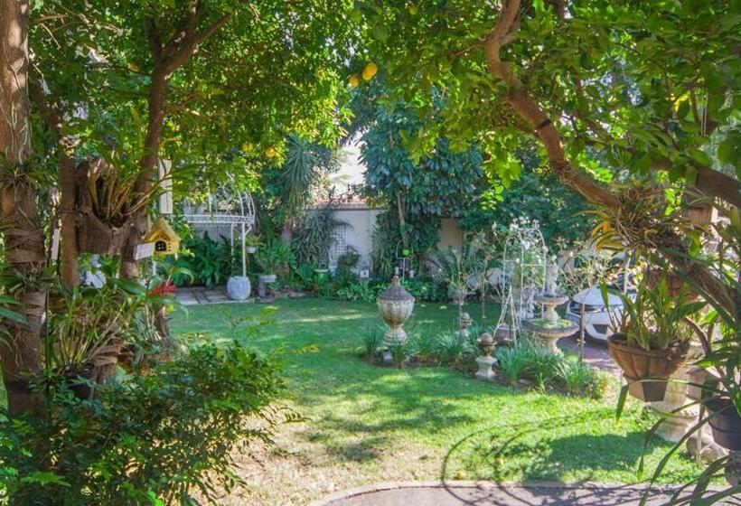 צימר 79 On Ridge