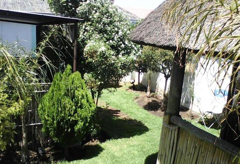 Общежитие Authentic Bicycle Tours And Backpackers