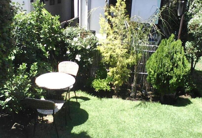 Общежитие Authentic Bicycle Tours And Backpackers